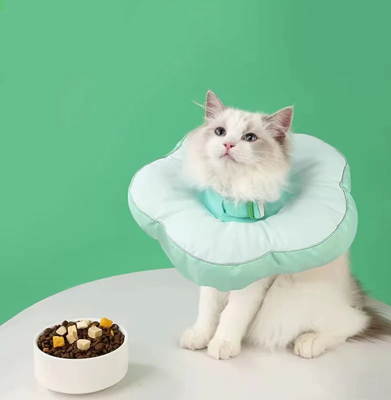 pet cones for cats 3