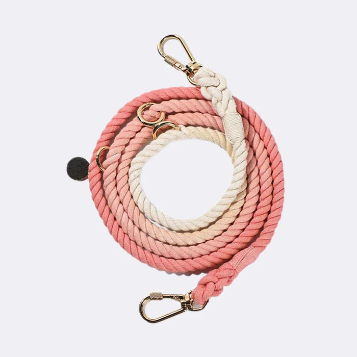 dog walking leash