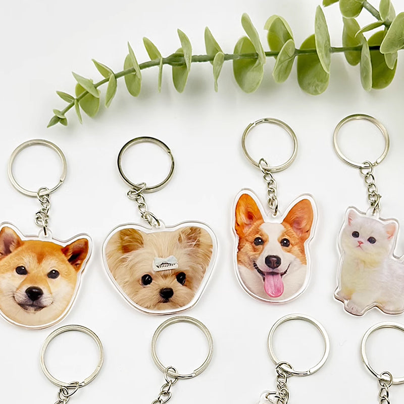 Pet Supplies,Pet Stores | Lovepetin.com