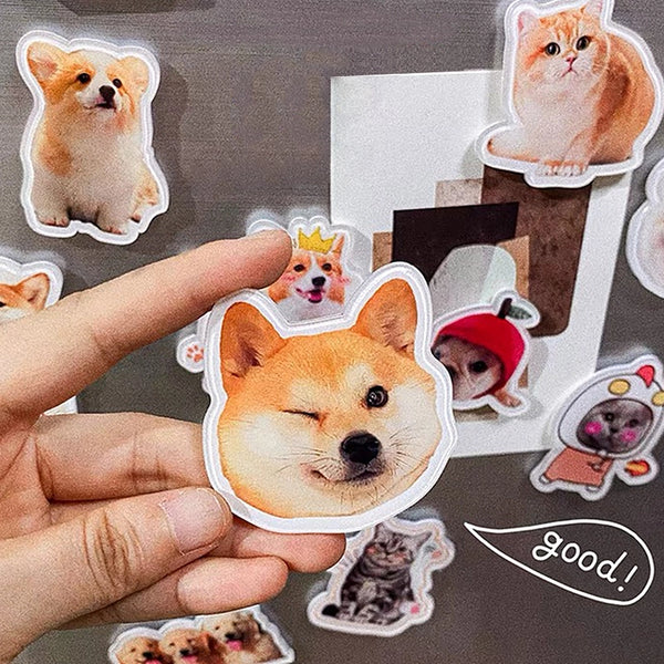Magnetic Custom Pet Stickers