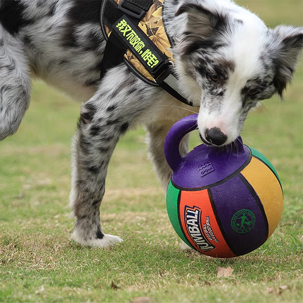 Bissfestes, aufblasbares Ballwurfspielzeug für Hunde