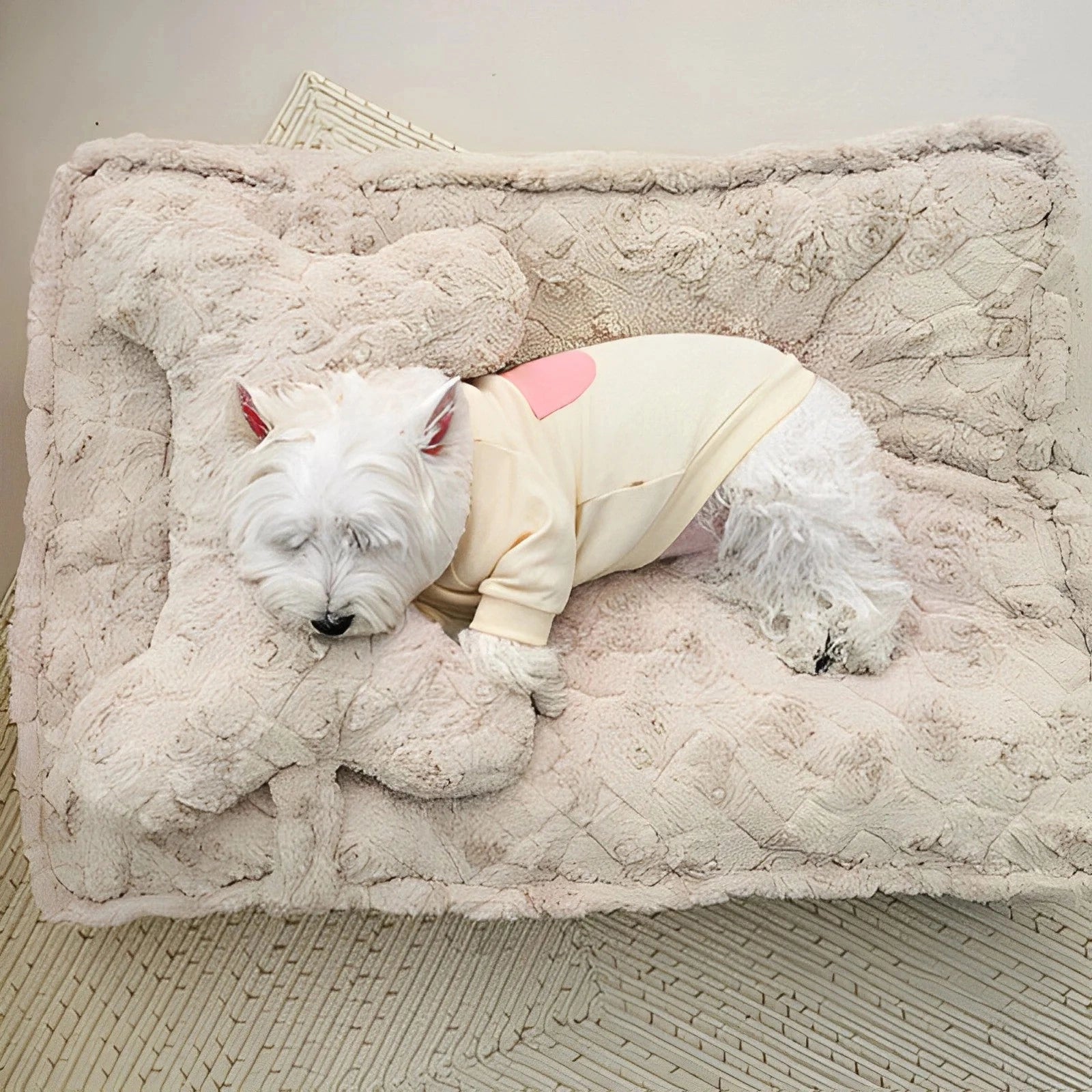 cozy dog bed