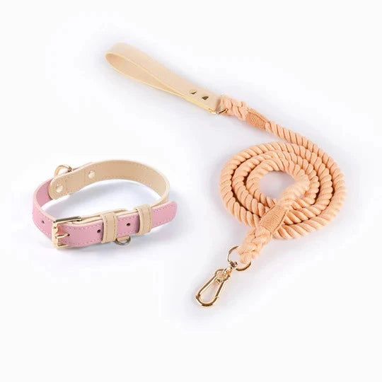 dog collar leash set