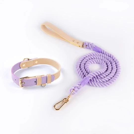 dog collar leash set