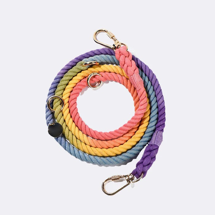 dog walking leash