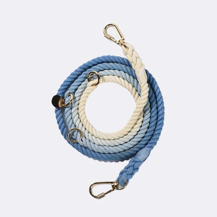 best leashes for dogs