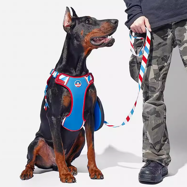 Personalized Dog Harness And Leash Set