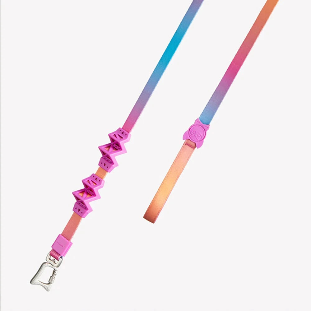 outdoor dog leash