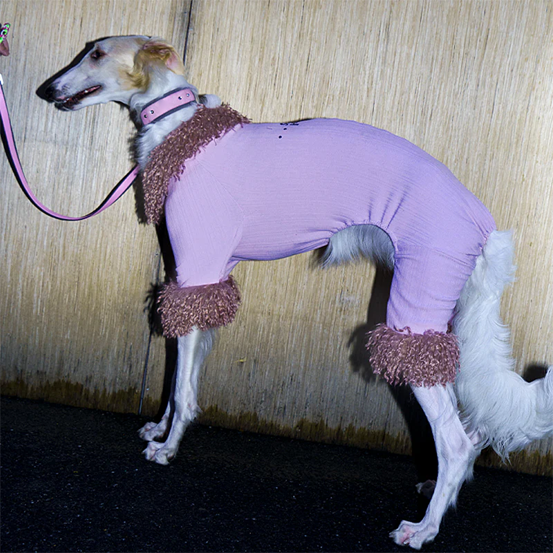 Long Hair Collar Lace Dog Shirt 1