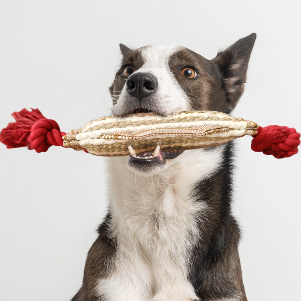 durable dog rope toy