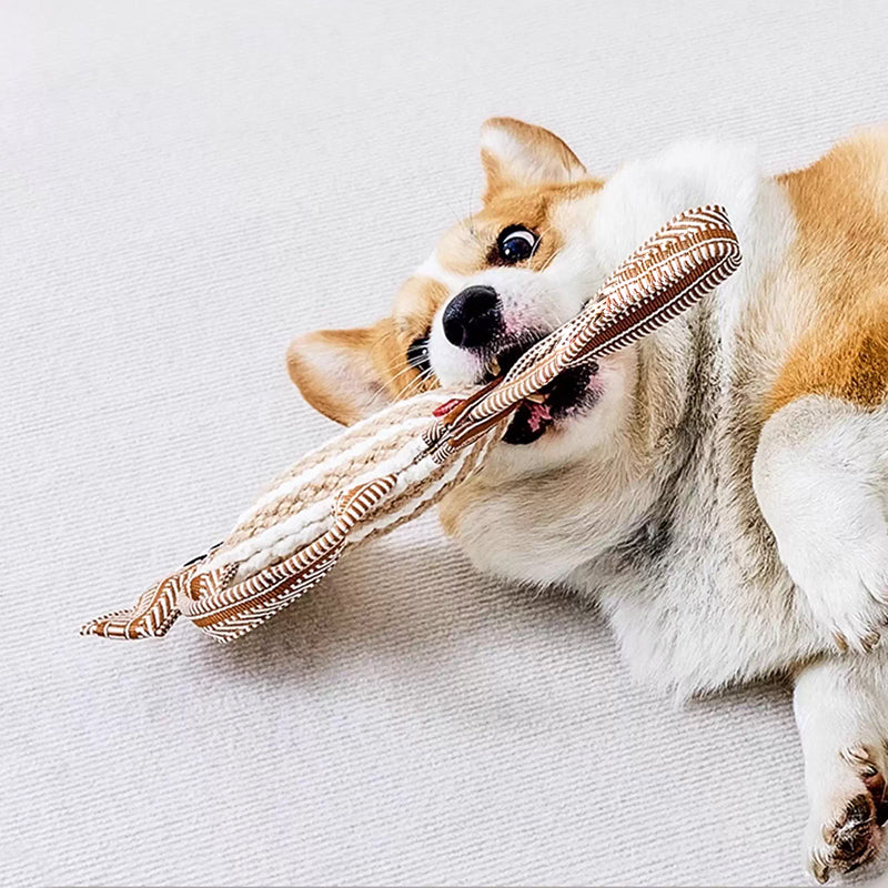 durable dog rope toy