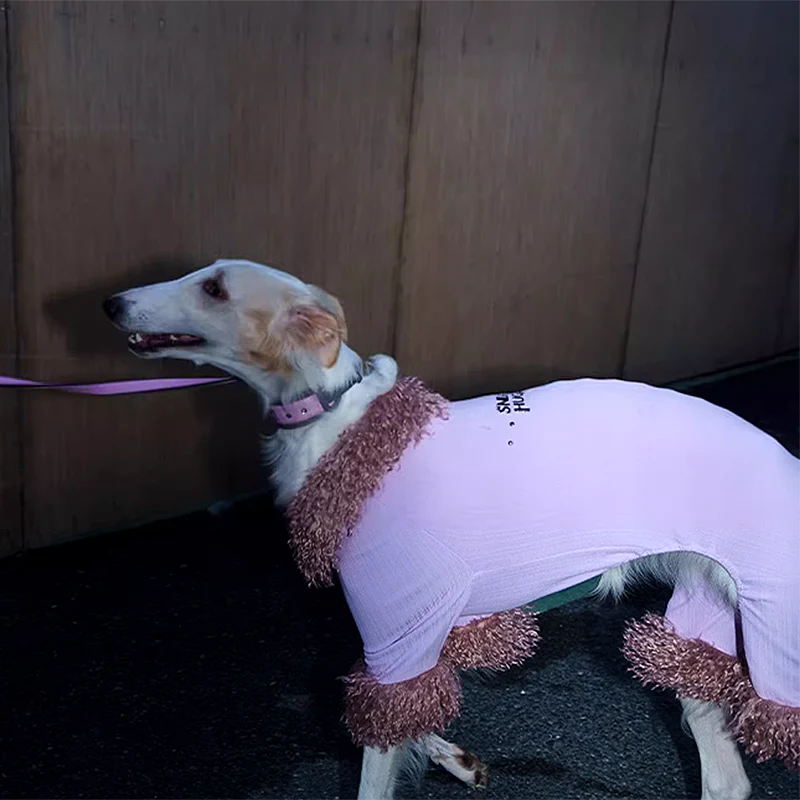 Long Hair Collar Lace Dog Shirt 2