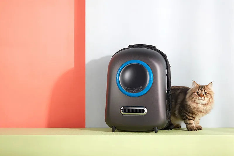 Pet Travel Backpacks