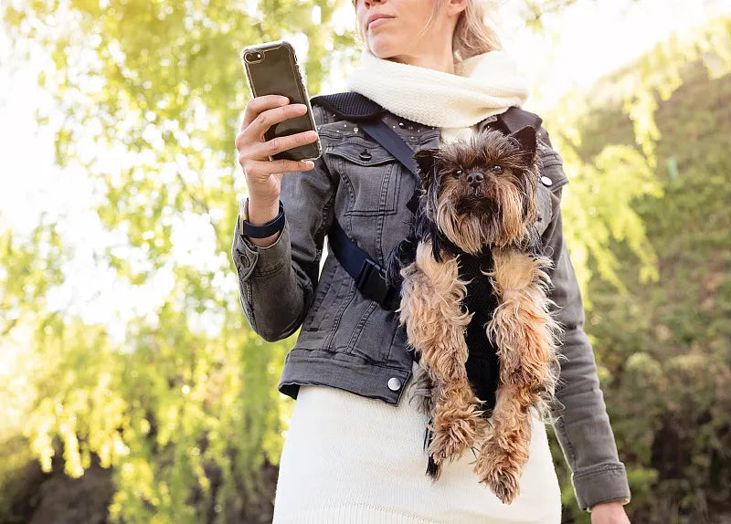 Pet Travel Backpacks
