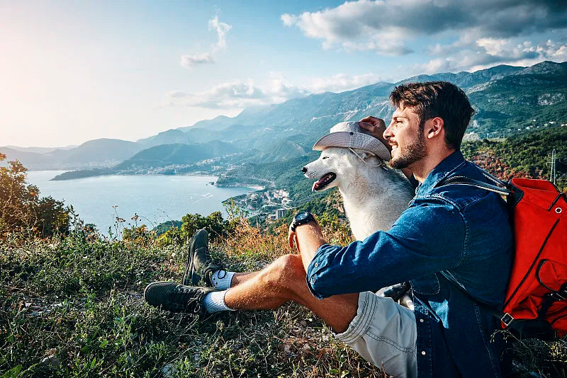 Pet Travel Backpacks