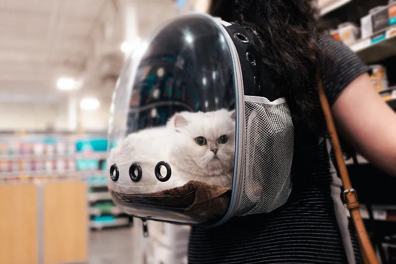 Pet Travel Backpacks