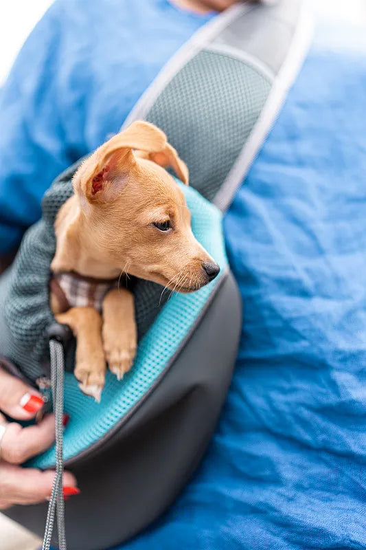 Pet Travel Backpacks
