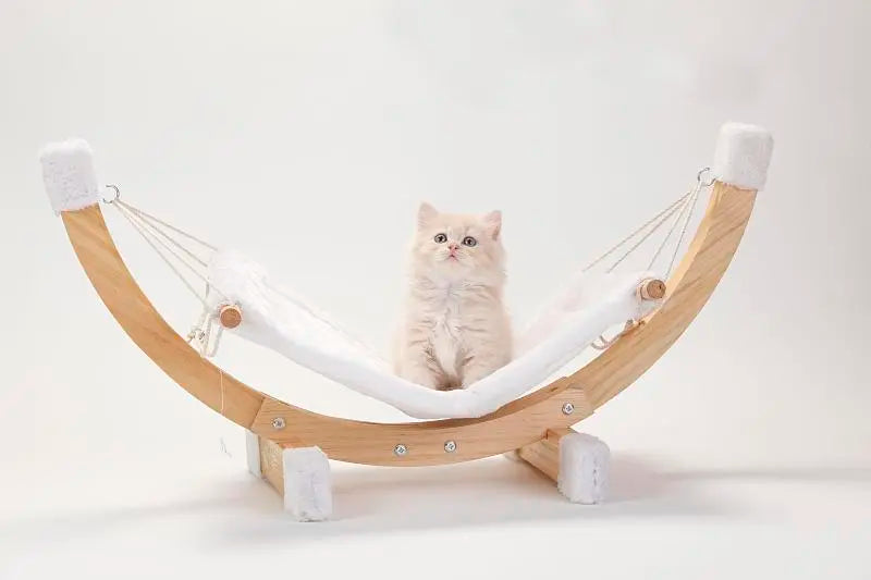 Cat Hammock