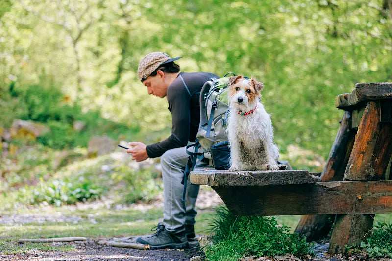 Pet Travel Backpacks