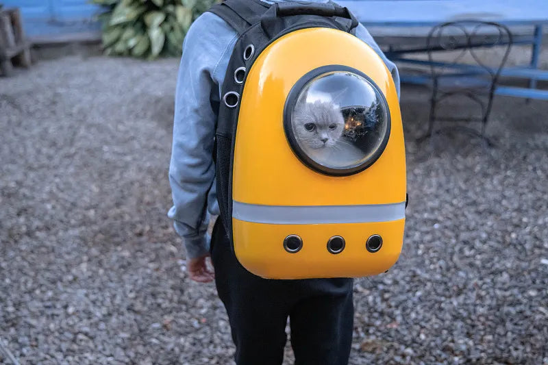 Pet Travel Backpacks