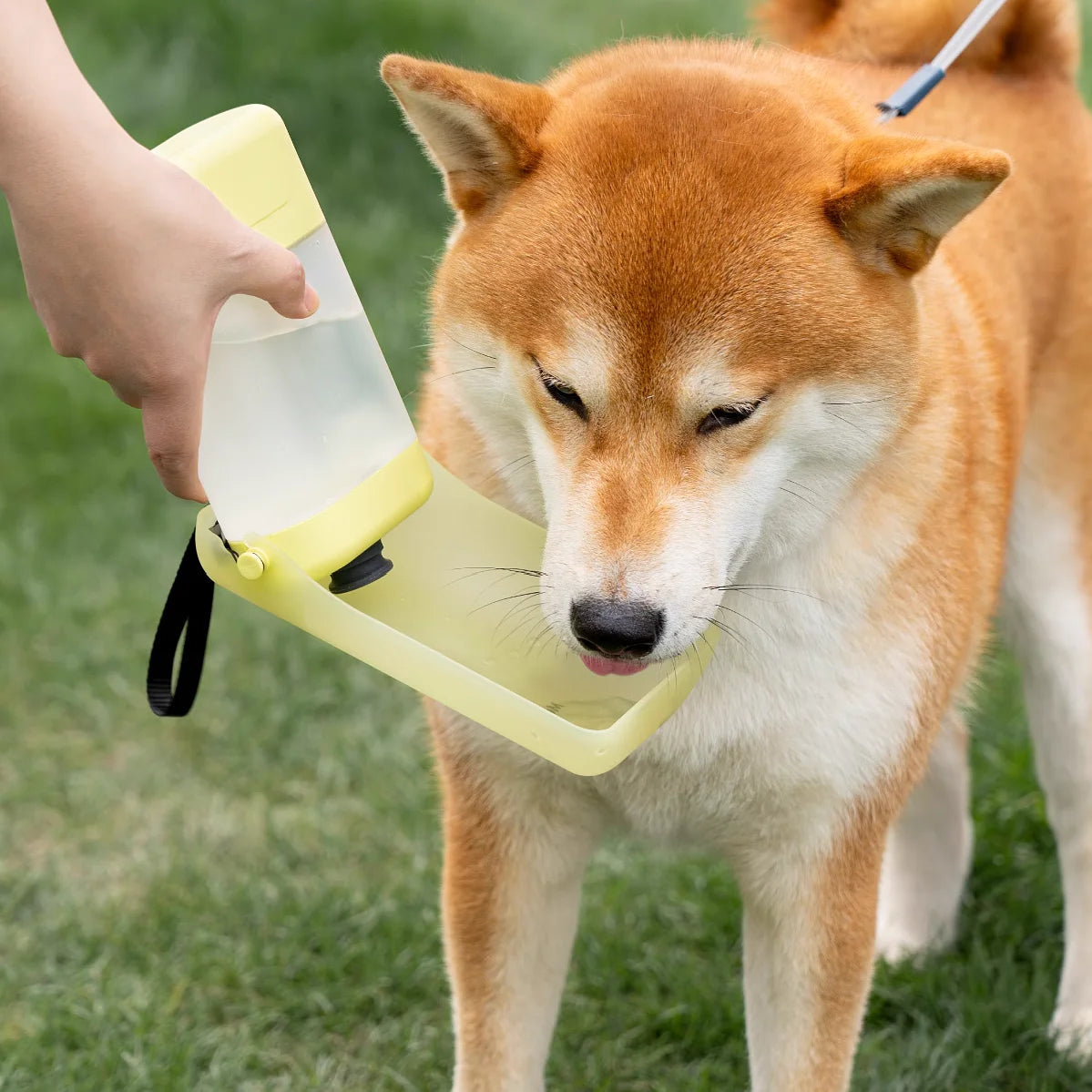 Outdoor Portable Pet Water Bowl