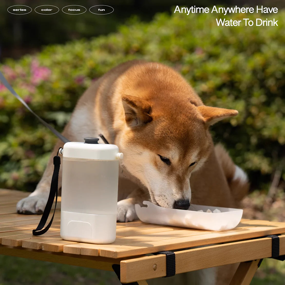 Outdoor Portable Pet Water Bowl 1