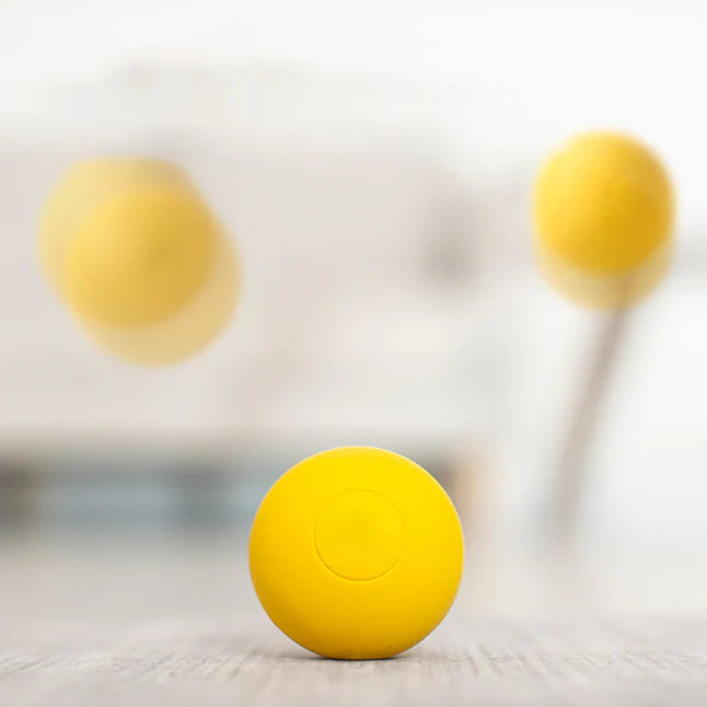 Rubber Solid Interactive Dog Ball Toys 4