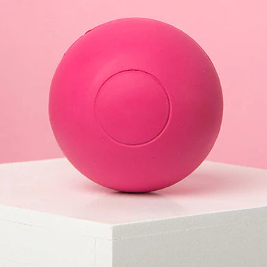 interactive dog ball toy 1