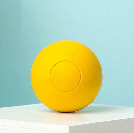 interactive dog ball toy