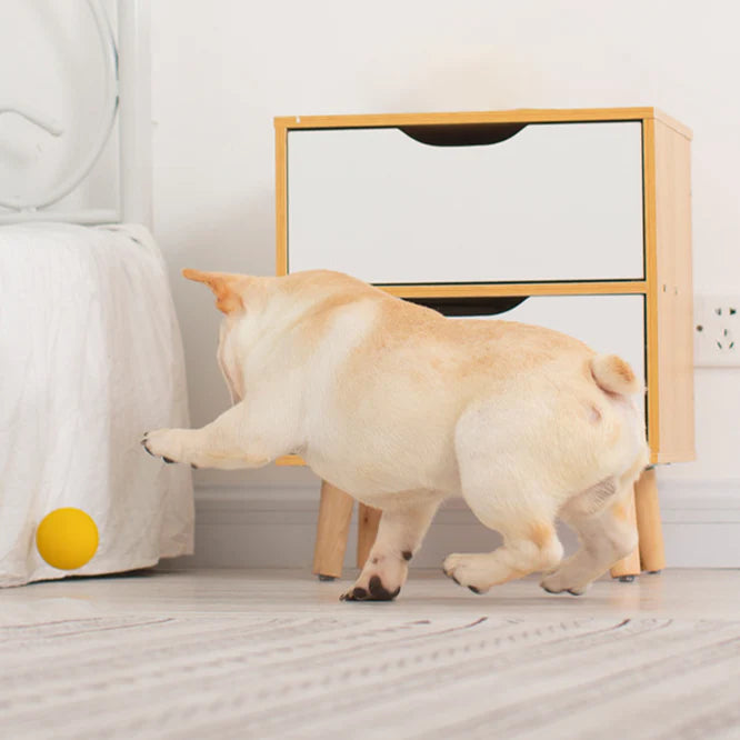 Rubber Solid Interactive Dog Ball Toys 3