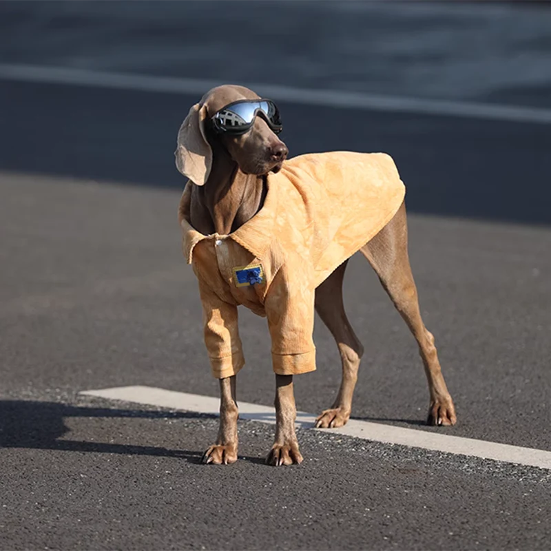 Pink Corduroy Shirt lovepetin 7
