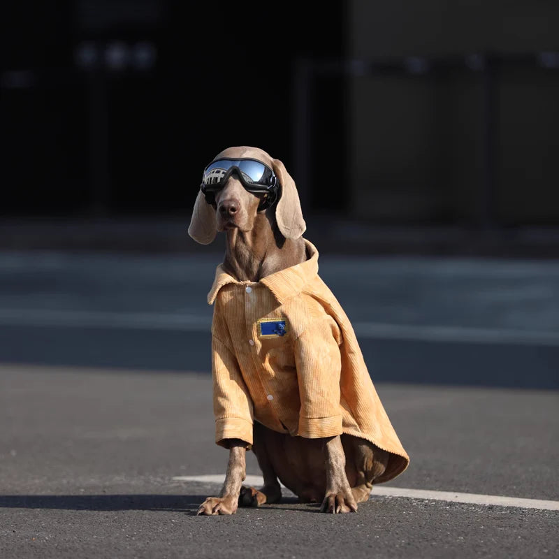 Pink Corduroy Shirt lovepetin 6