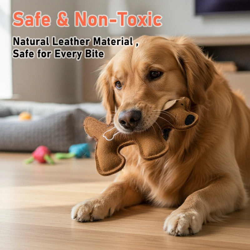 Pet Supplies,Pet Stores | Lovepetin.com