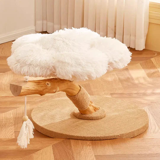 Pet Supplies,Pet Stores | Lovepetin.com