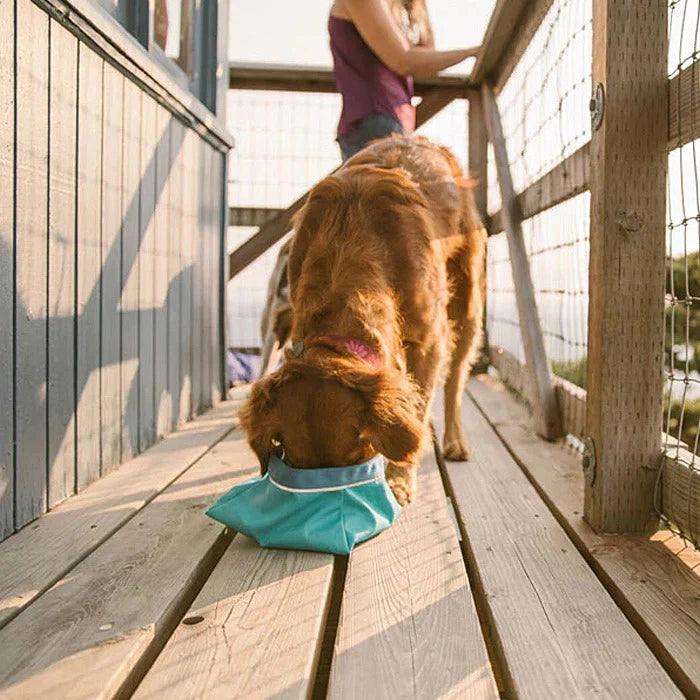 outdoor water bowls for pets 2