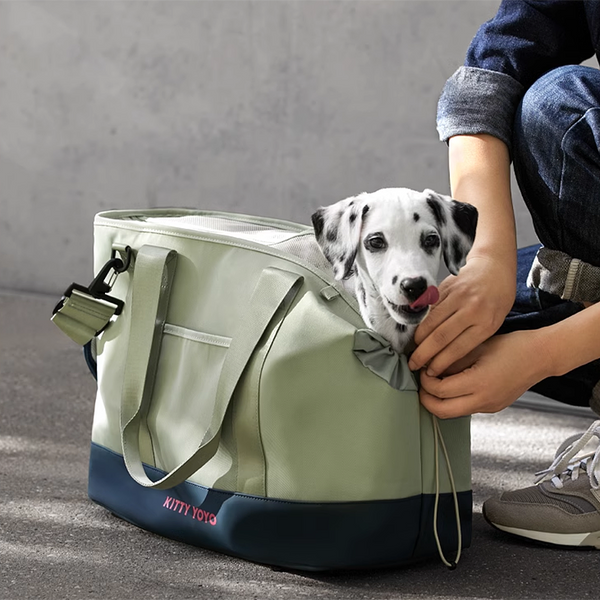 Outdoor Large Capacity Pet Carrier Bag
