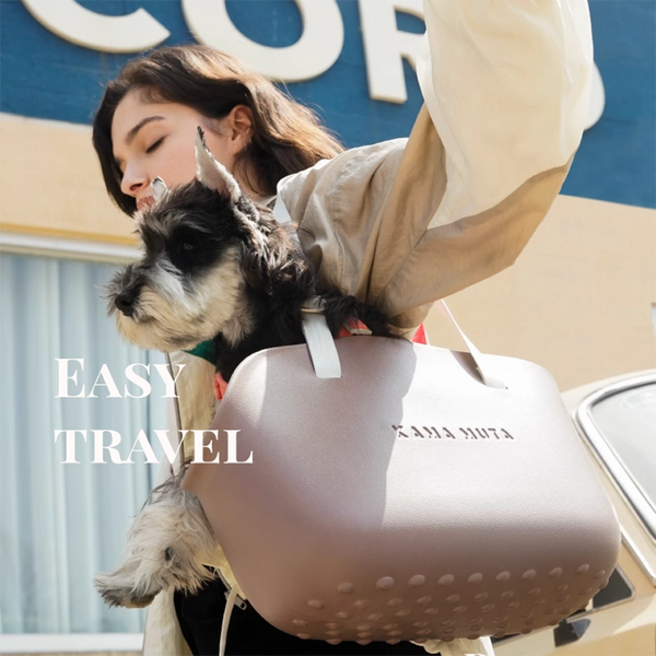 Fashion Outdoor Breathable Small Pet Carrier Bag