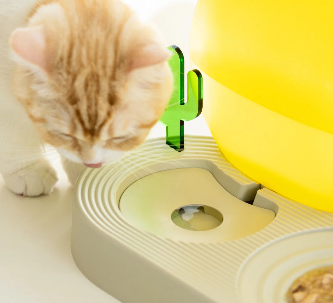 best pet food bowls 1