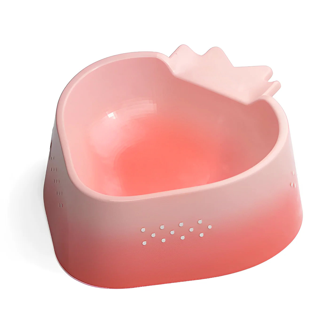 pet food and water bowls 3