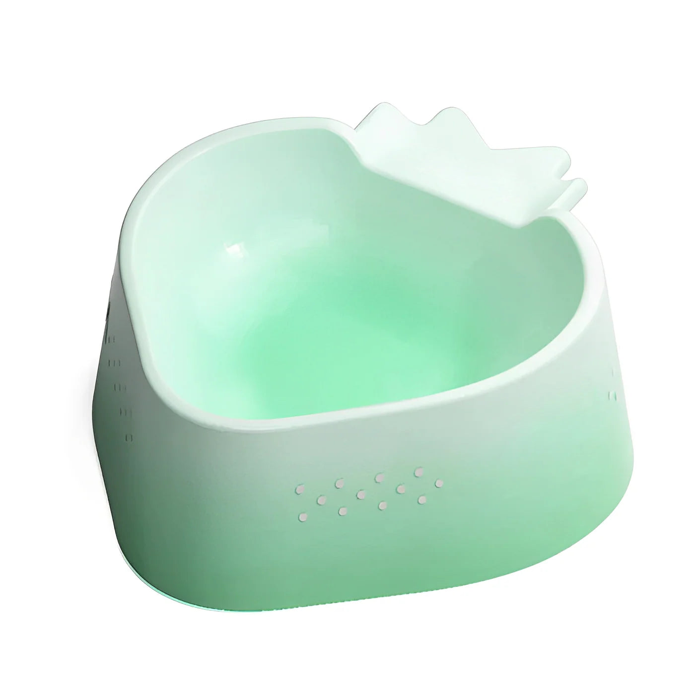 pet food and water bowls 4