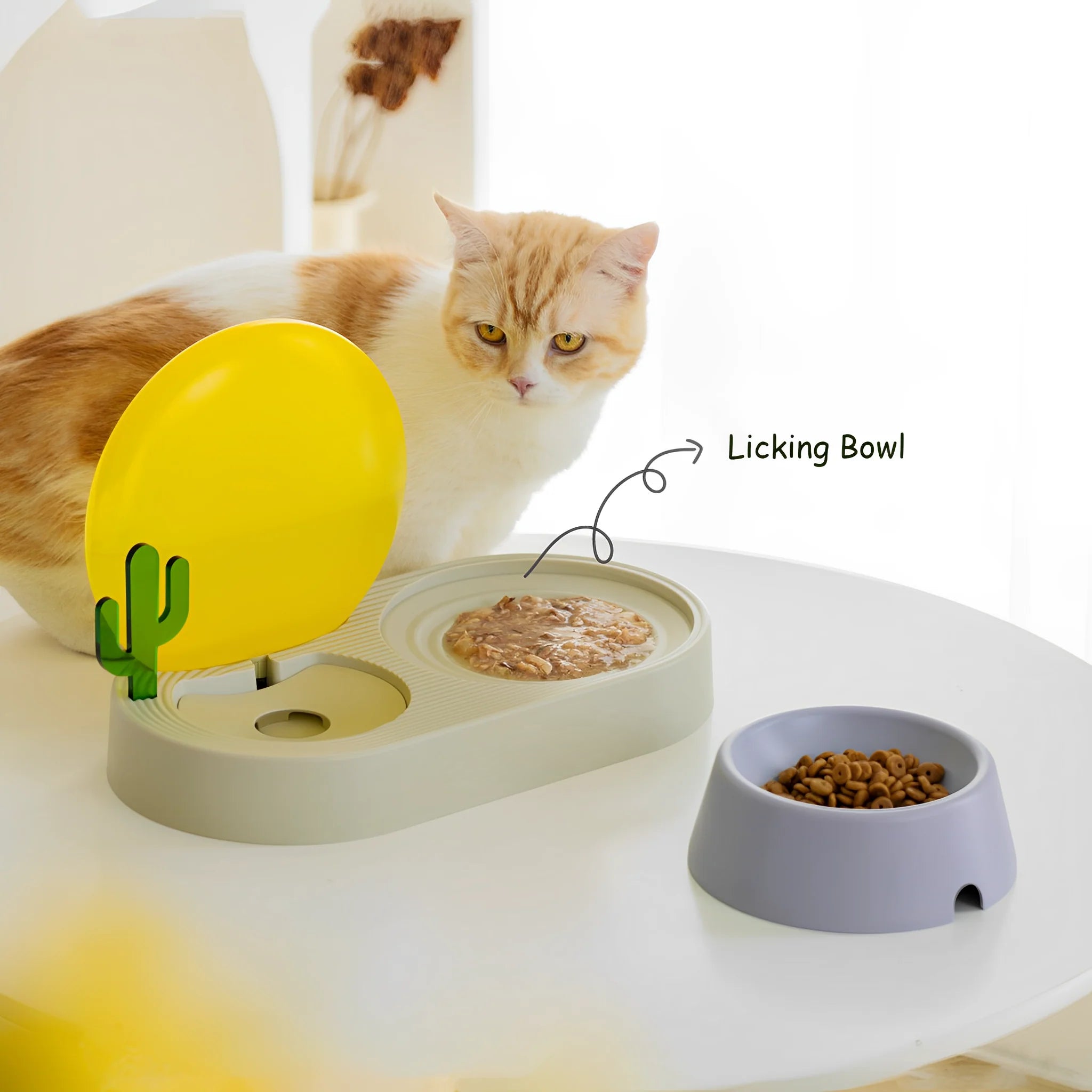 best pet food bowls 3
