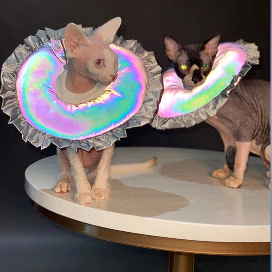 Laser Style Pet Cone 3