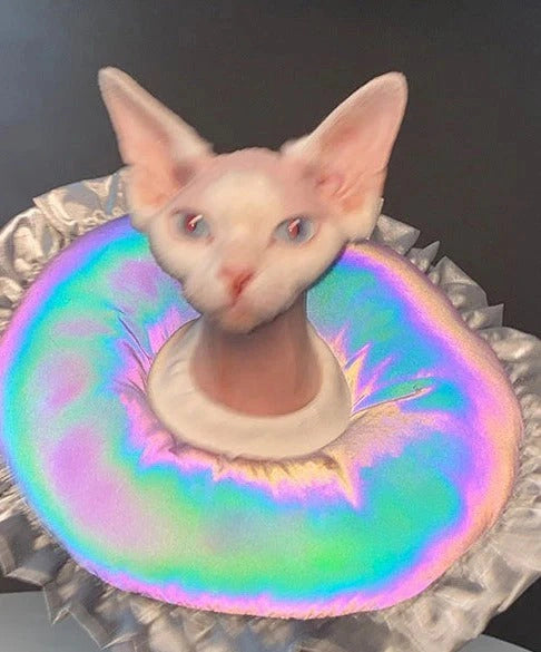 Laser Style Pet Cone 2