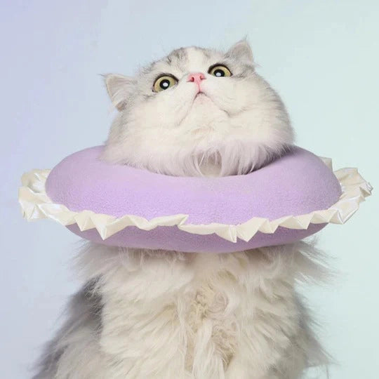 Laser Style Pet Cone