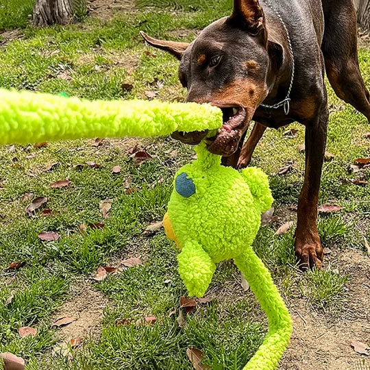Long Hare Dog Rope Tug Toy 2