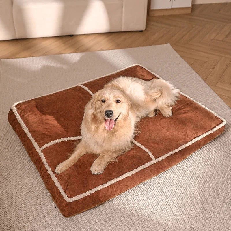 best dog beds