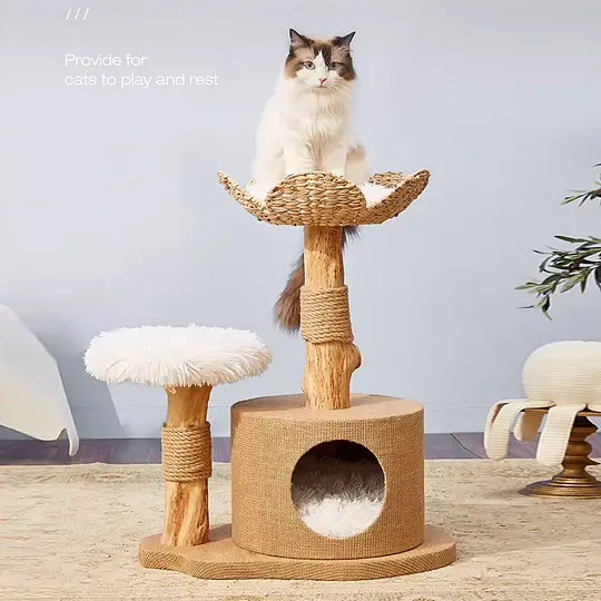wood cat tree