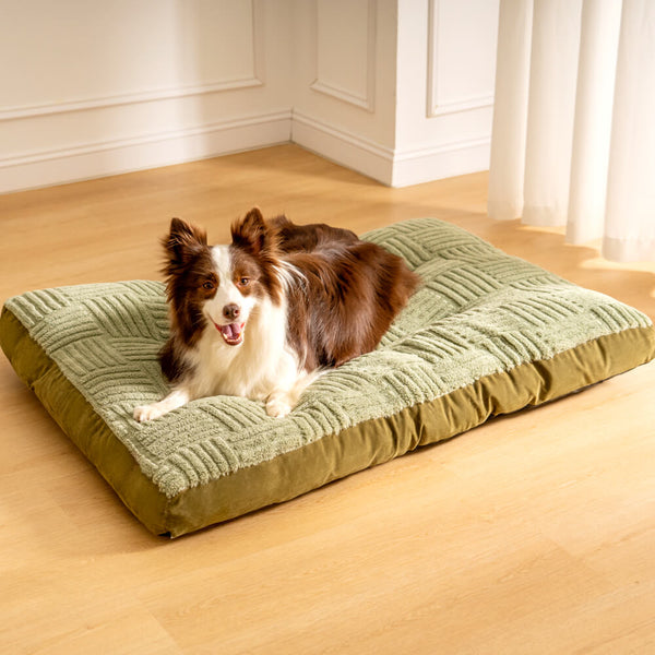 Extra Large Thick Orthopedic Dog Bed Bolster