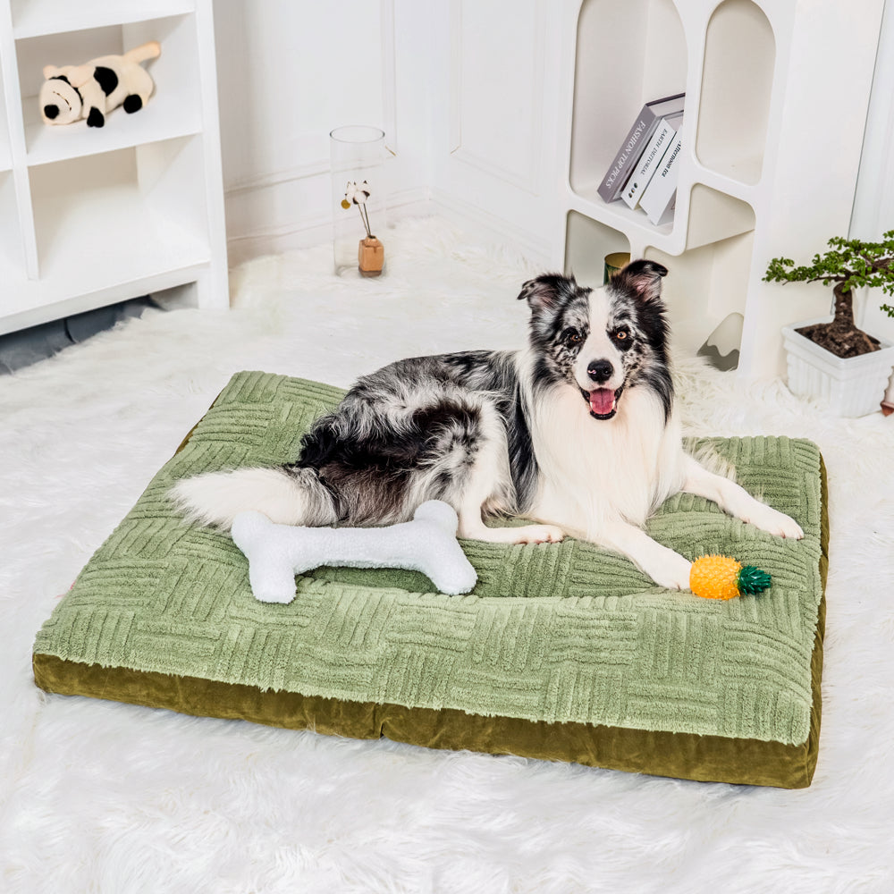 Pet Supplies,Pet Stores | Lovepetin.com