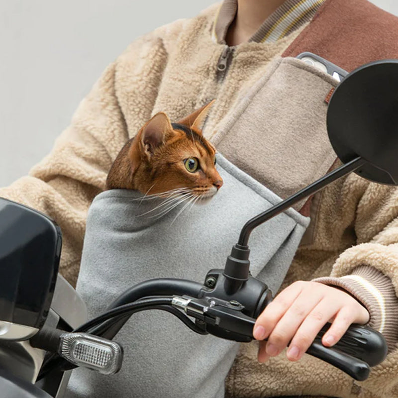 How to get a scared cat into carrier Pet Supplies,Pet Stores